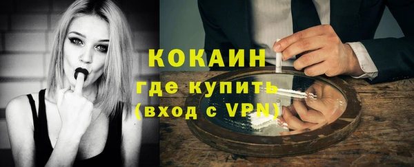 стафф Богданович