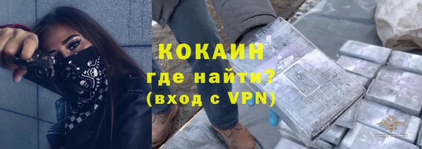 стафф Богданович
