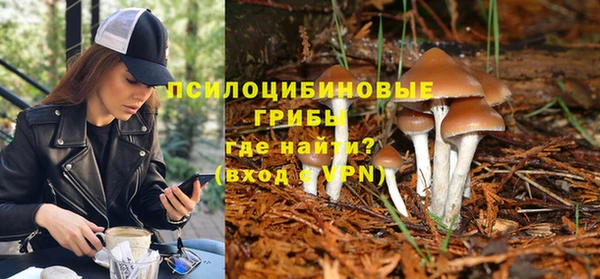 стафф Богданович