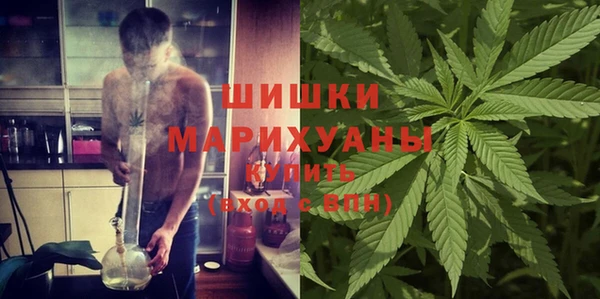 стафф Богданович