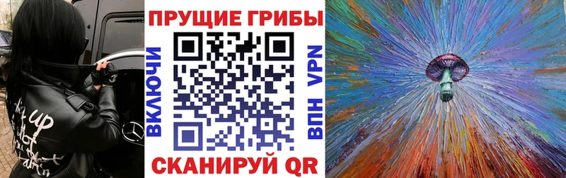 Псилоцибиновые грибы Psilocybe Колпашево
